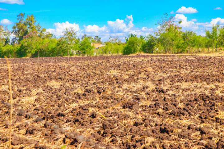 Discover Sagana Tulivu Garden Phase 5 — Where Peace Meets Potential 
