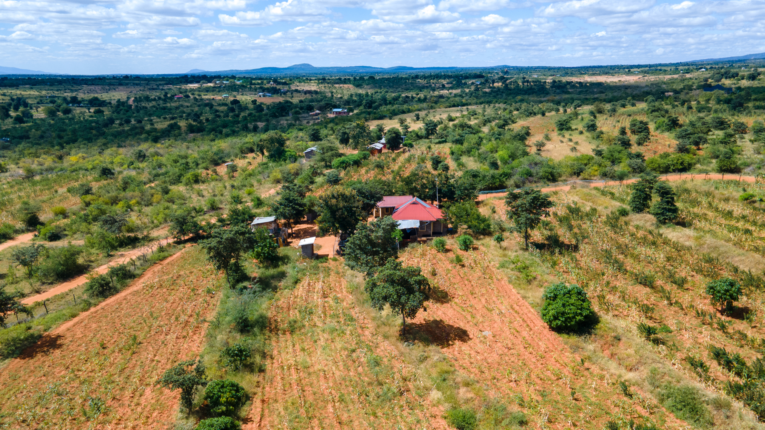DJI_0358