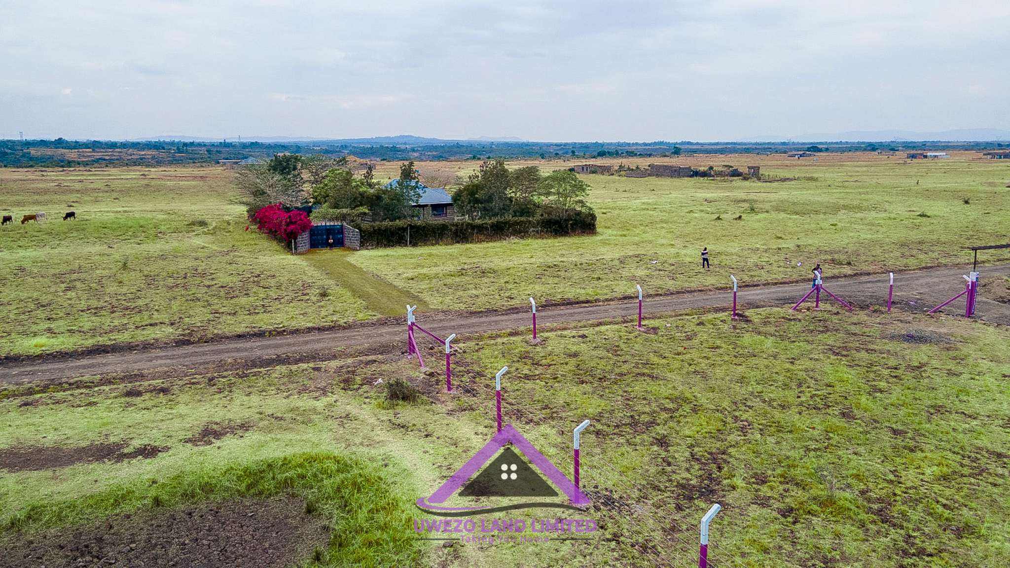 WhatsApp Image 2026-08-09 at 10.11.26 AM (1)